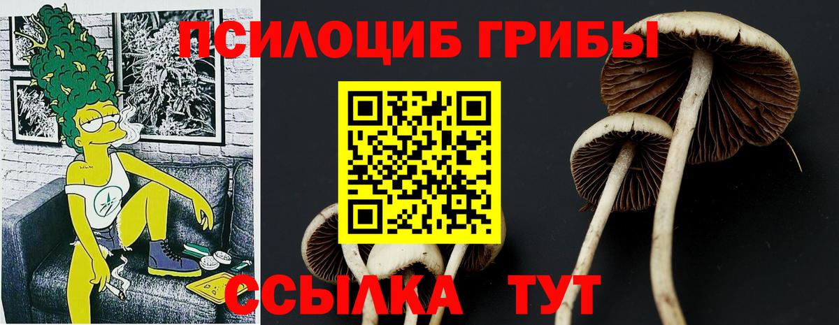 Псилоцибиновые грибы GOLDEN TEACHER  Вход с VPN  Георгиевск  Псилоцибиновые грибы ЛСД 